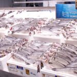 Lipton Doğu Karadeniz’de Çay Hasadına Başladı | HORECA TREND