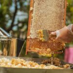 Şirketler B2B’ye Özel Ödeme Çözümleriyle Rekabette Öne Geçiyor | HORECA TREND