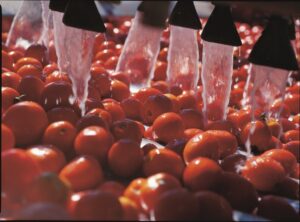 Merko Gıda’dan 100 Milyon TL’lik Yatırım Hamlesi | HORECA TREND