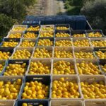 Herkes Hilton Dalaman’da | HORECA TREND