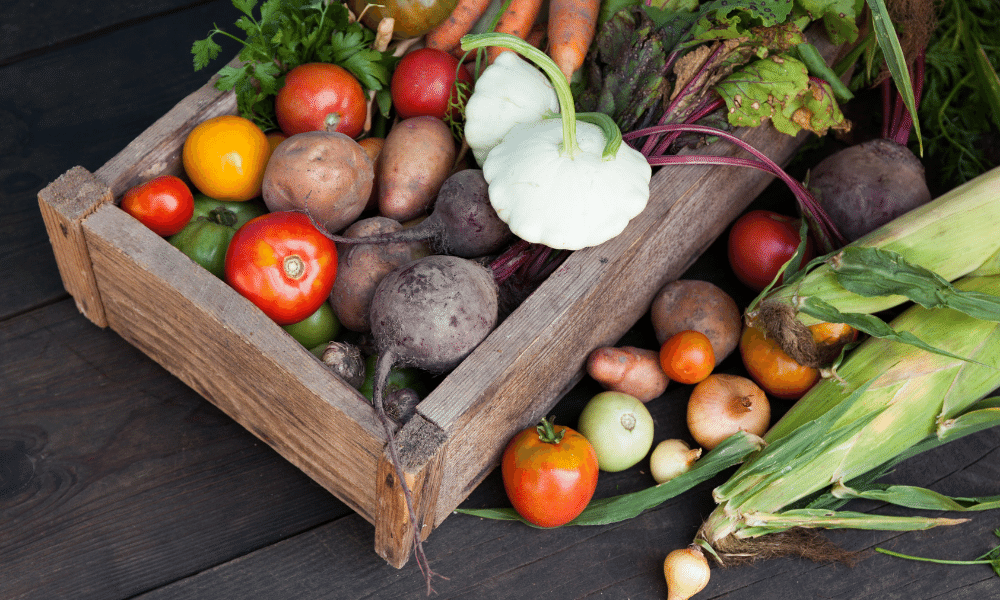 Dünya Gıda Günü, her yıl 16 Ekim'de kutlanır. Bu özel gün, 1945 yılında kurulan Birleşmiş Milletler Gıda ve Tarım Örgütü'nün (FAO) kuruluş yıl dönümüdür.