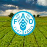 16 Ekim Dünya Gıda Günü (Tarihi ve Kapsamı) | HORECA Trend