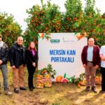 ibis İstanbul Şişli, İstanbul’un Gözde Konumunda Kapılarını Açtı | HORECA TREND