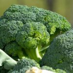 Canan Karatay Uyardı: Hazır Yiyeceklerin Hepsinde Var | HORECA TREND