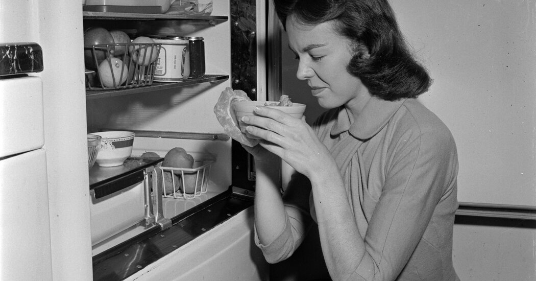 Tavuk Buzdolabında Ne Kadar Dayanır? Tavuk Yemeğinin Son Kullanma Tarihi | HORECA TREND