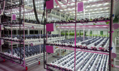 güncel haber ve makaleler | horeca trend - page 124 | horeca trend Güncel Haber ve Makaleler | HORECA TREND - Page 124