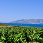 Türkiye’nin İlk HYDE Hotel’inde Yeşim Kozanlı Mimarlık İmzası! | HORECA TREND