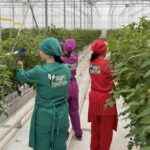 Balığın 10 Faydası | HORECA TREND