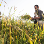 Fairmont Quasar Istanbul, Doğu Avrupa’nın En İyi Lüks Oteli Seçildi | HORECA TREND