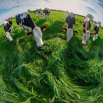 Enerjisa Enerji Müşterilerine Doğa Dostu Yeşil Enerji ile Ticari Avantaj Getiriyor | HORECA TREND