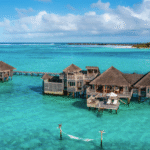 Academy BigChefs İlk Mezunlarını Verdi! | HORECA TREND