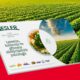 Güncel Haber ve Makaleler | HORECA TREND