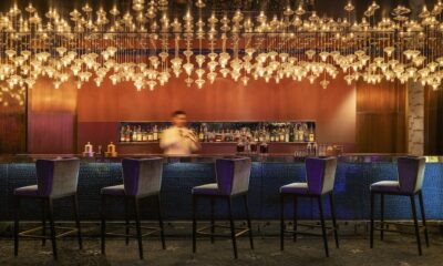 Long Bar Live Opens Autumn Stage at Night | HORECA TREND